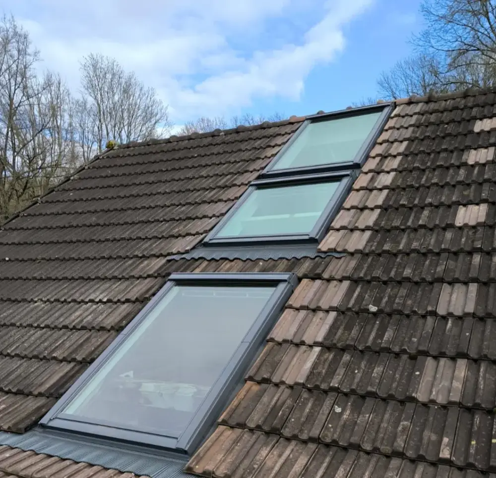 vELUX1